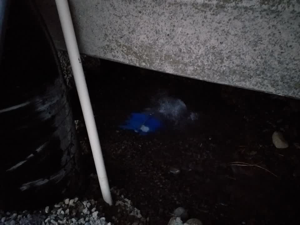 The photograph attached to this water leak report