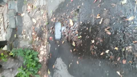 Water Leak, a report photo