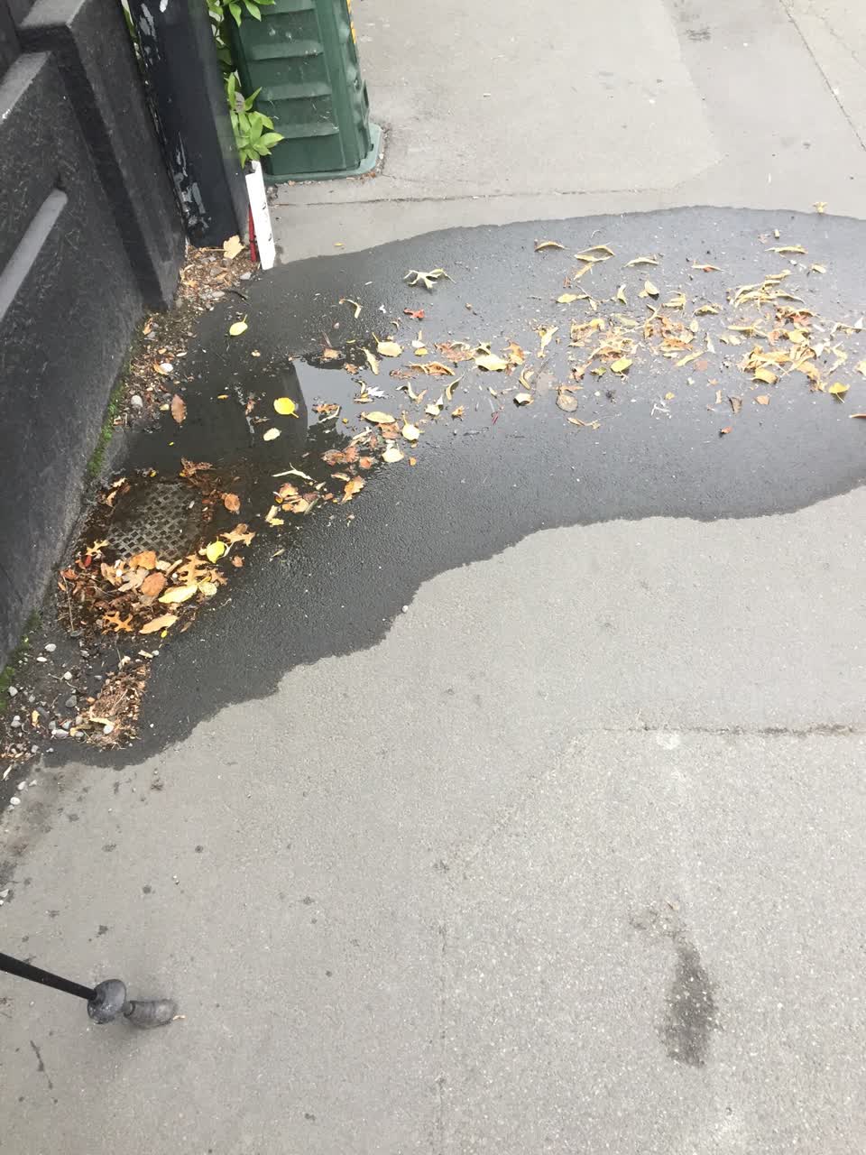 The photograph attached to this water leak report