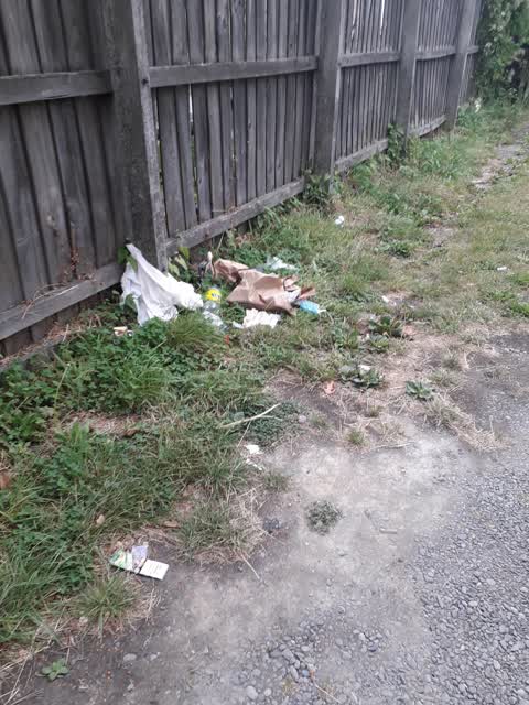 Rubbish/Recycling, a report photo