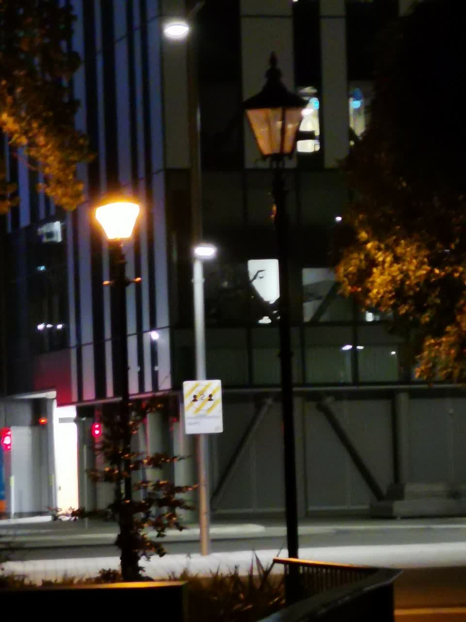 The photograph attached to this street light outage report