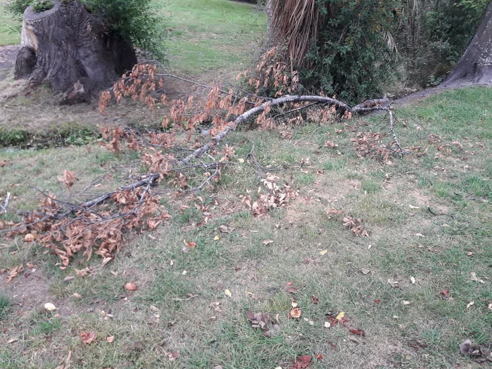 The photograph attached to this parks report