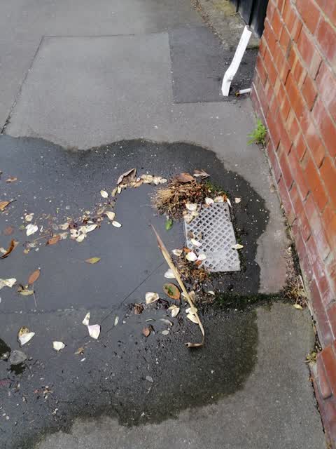 Water Leak, a report photo