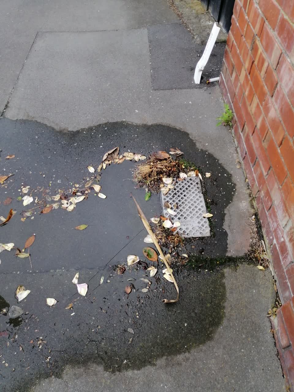 The photograph attached to this water leak report