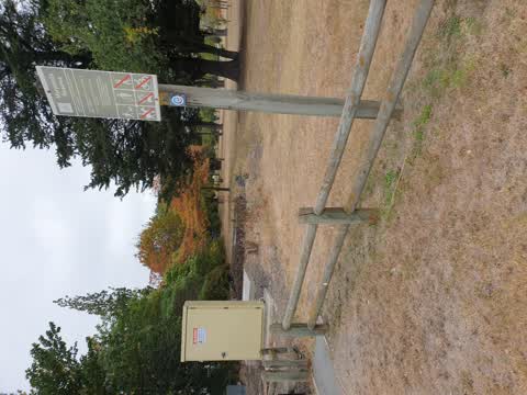 General Request, a report photo