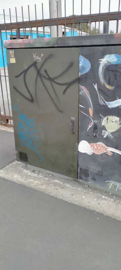Graffiti, a report photo