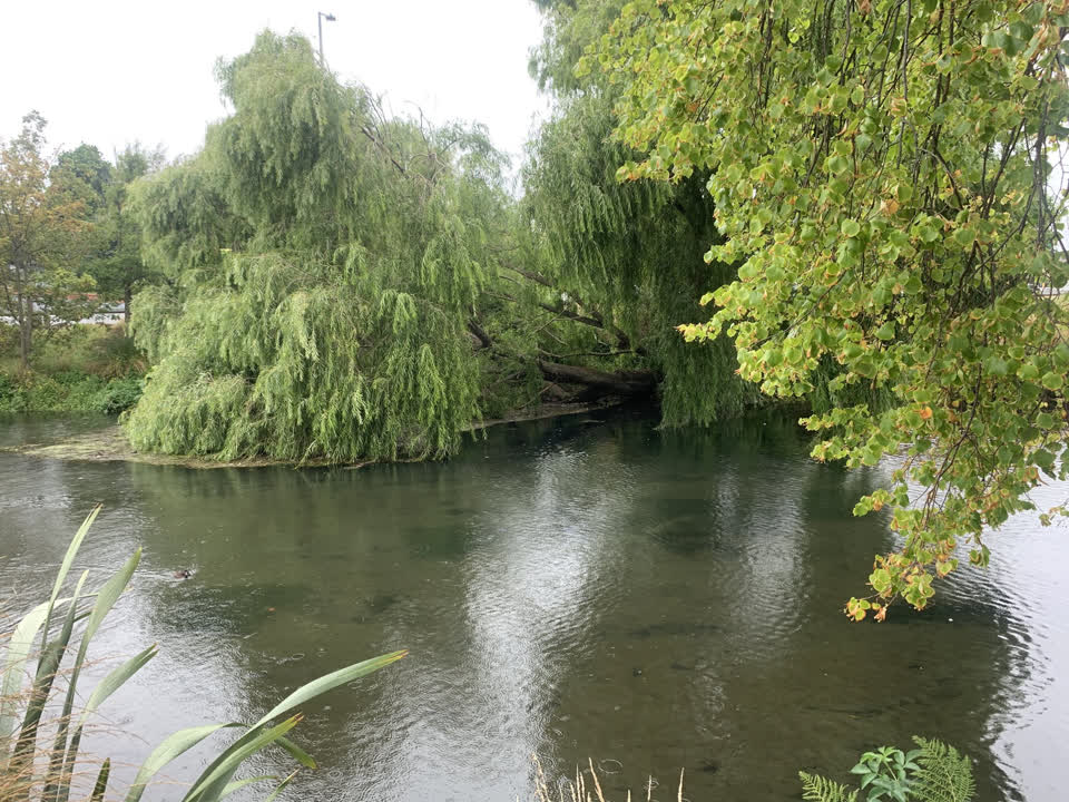 The photograph attached to this parks report