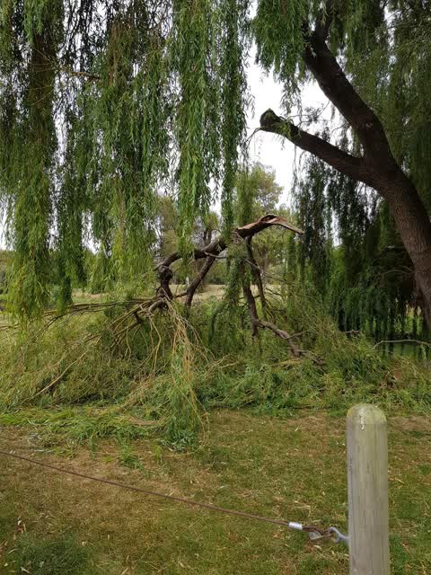 Parks, a report photo