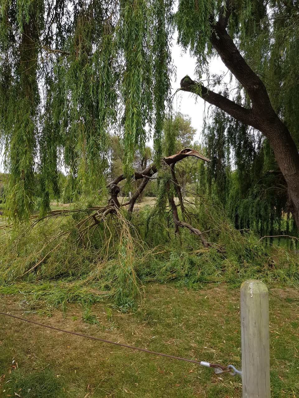 The photograph attached to this parks report