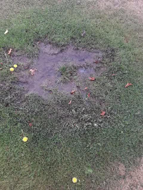 Parks, a report photo