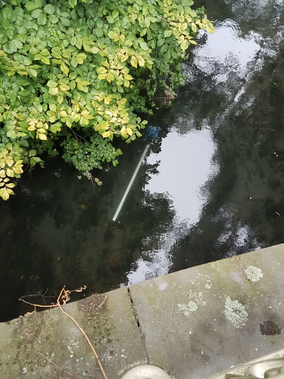 The photograph attached to this parks report