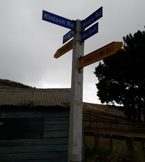 Roading/Streets, a report photo