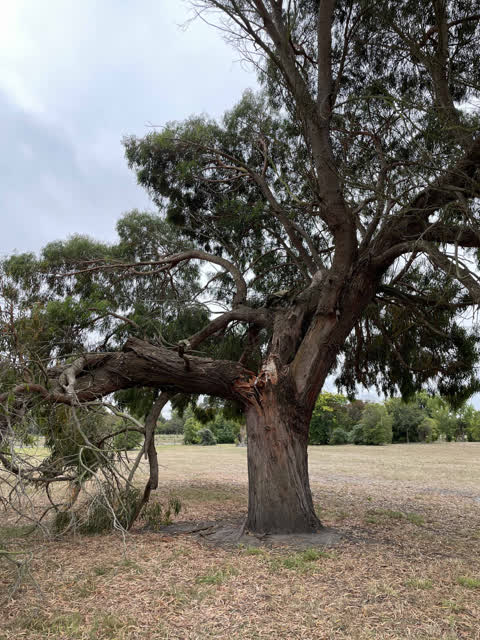 Parks, a report photo