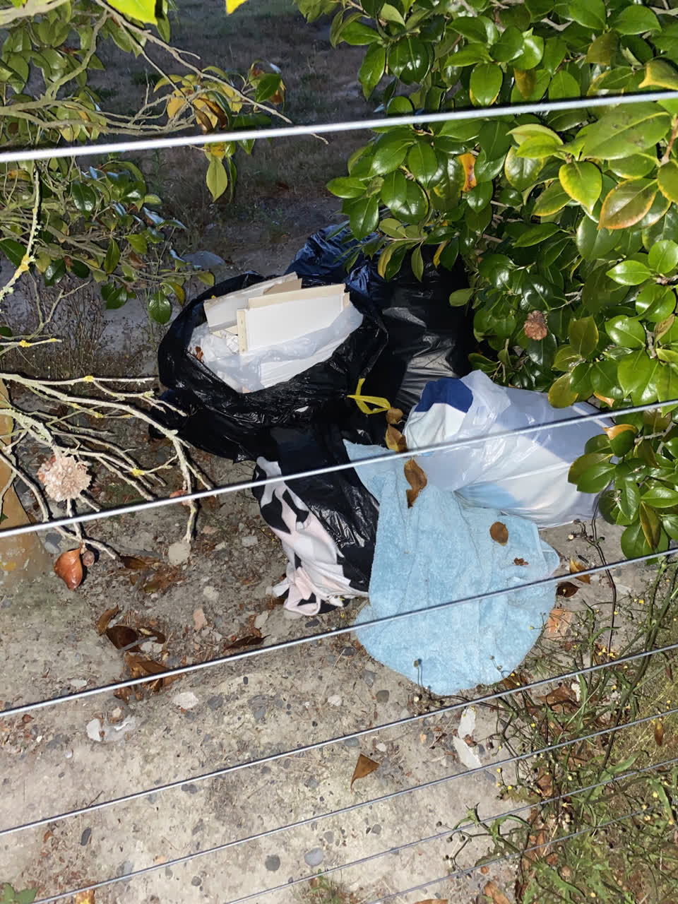 The photograph attached to this rubbish/recycling report