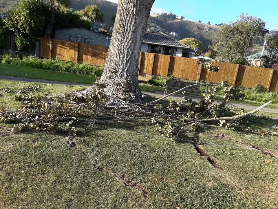 The photograph attached to this parks report