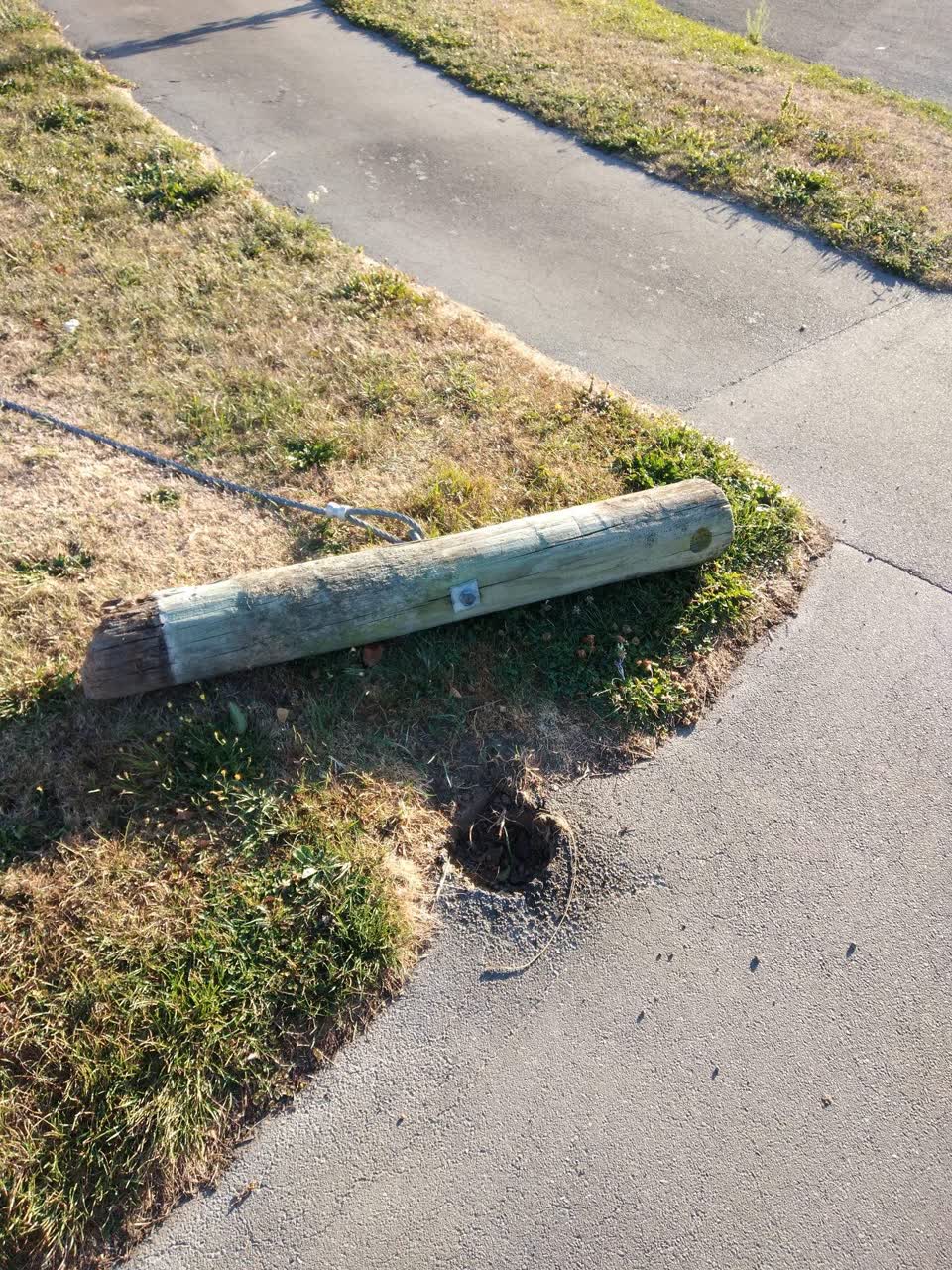 The photograph attached to this parks report