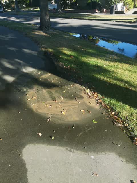 Water Leak, a report photo