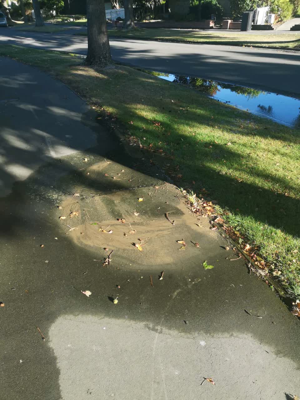 The photograph attached to this water leak report