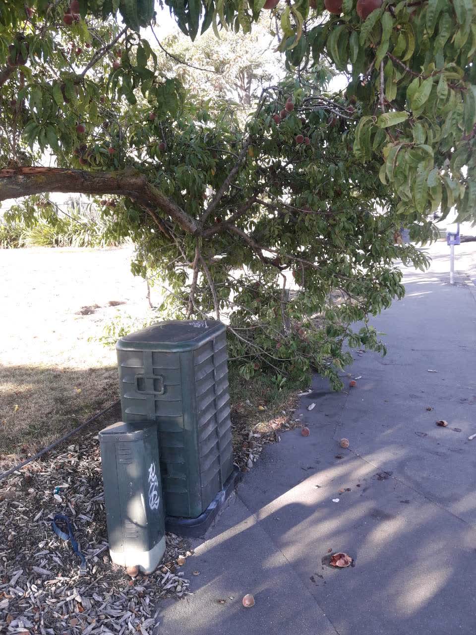 The photograph attached to this parks report