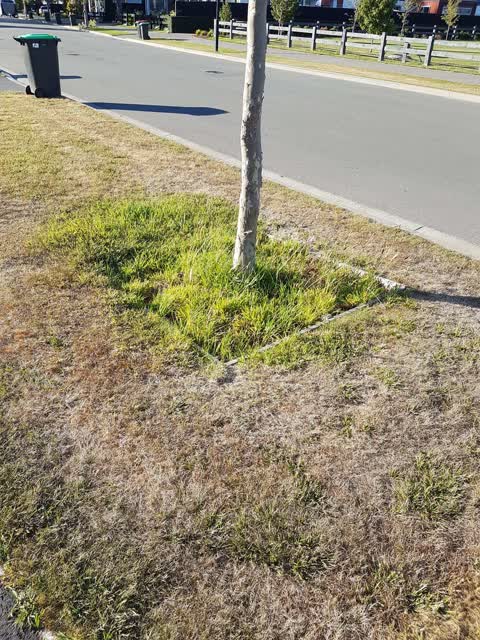 Roading/Streets, a report photo