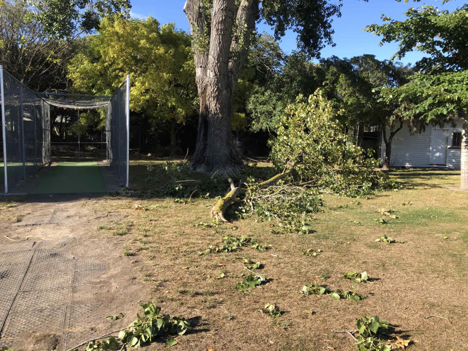 The photograph attached to this parks report