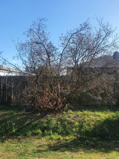 Parks, a report photo
