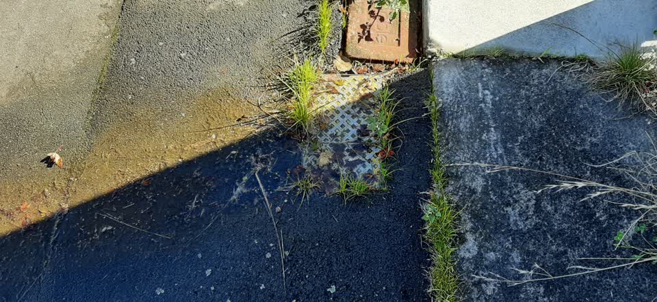 The photograph attached to this water leak report