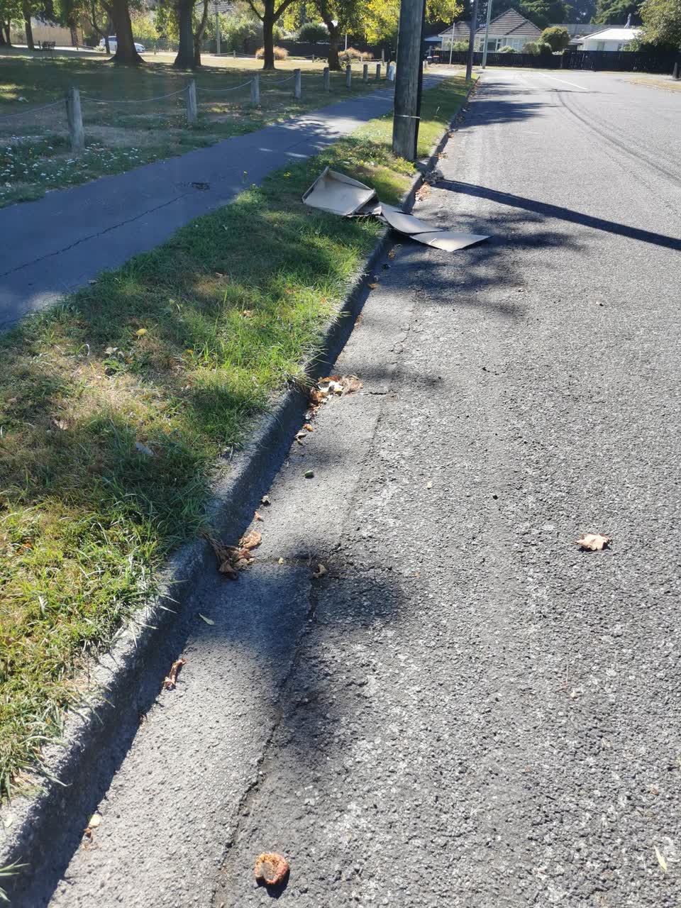 The photograph attached to this rubbish/recycling report