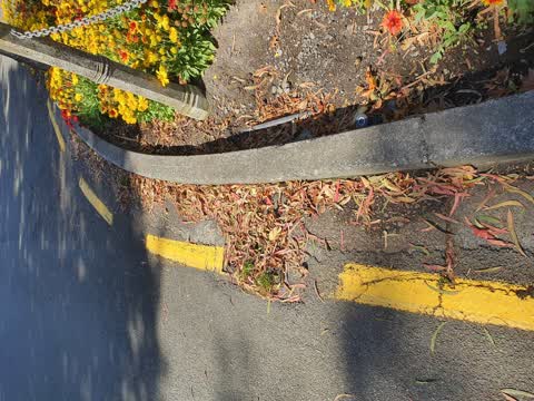 Wastewater/Stormwater, a report photo