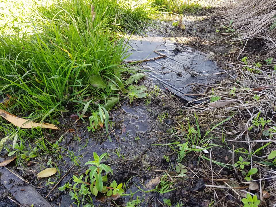 The photograph attached to this water leak report