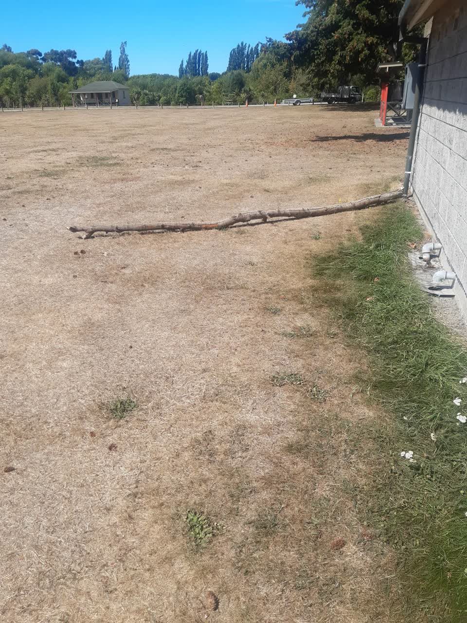 The photograph attached to this parks report