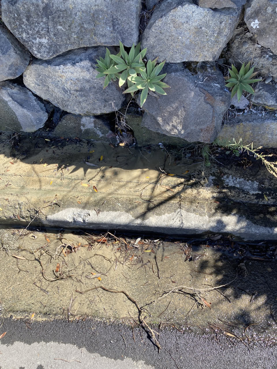 The photograph attached to this water leak report
