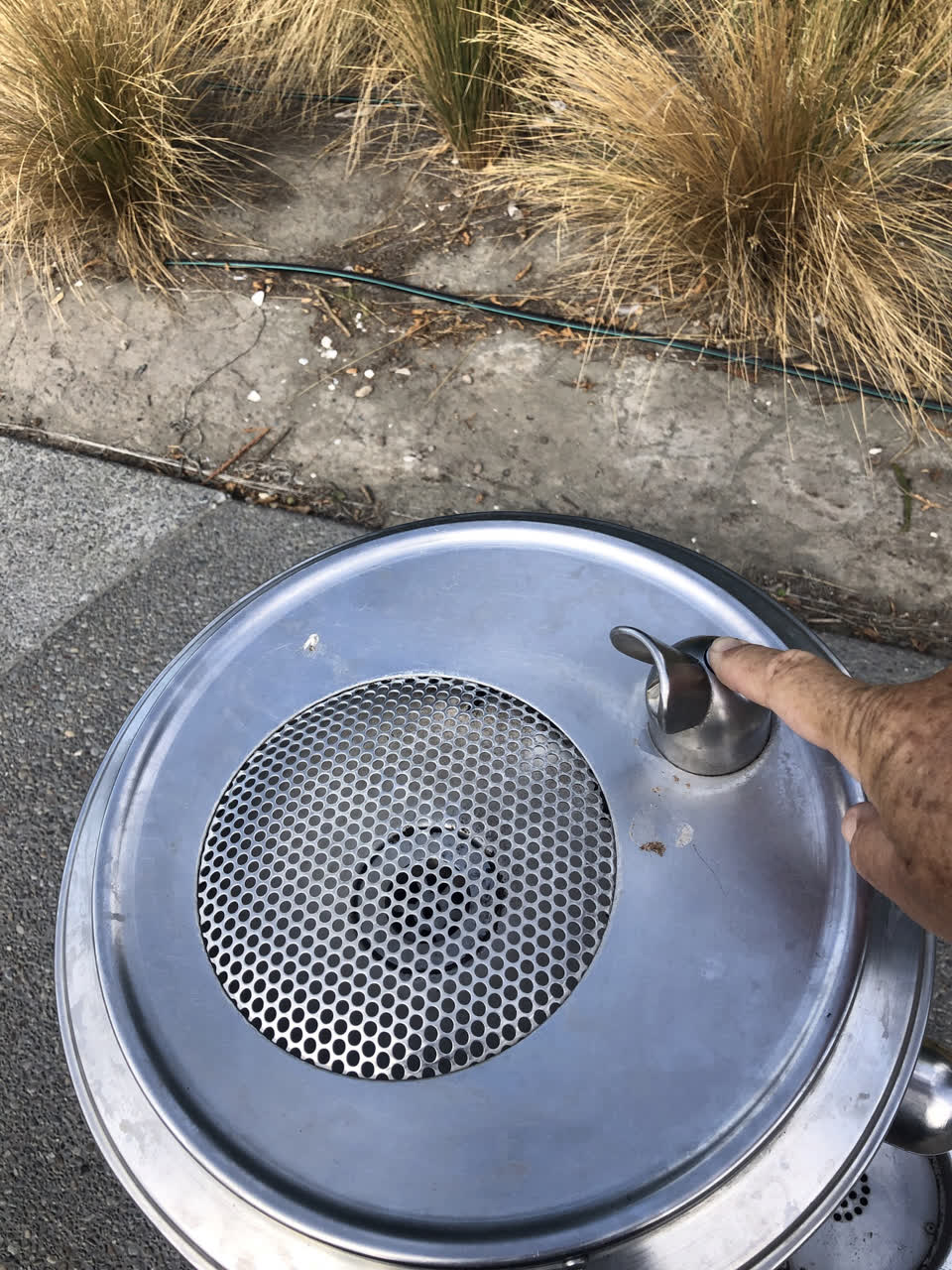 The photograph attached to this parks report
