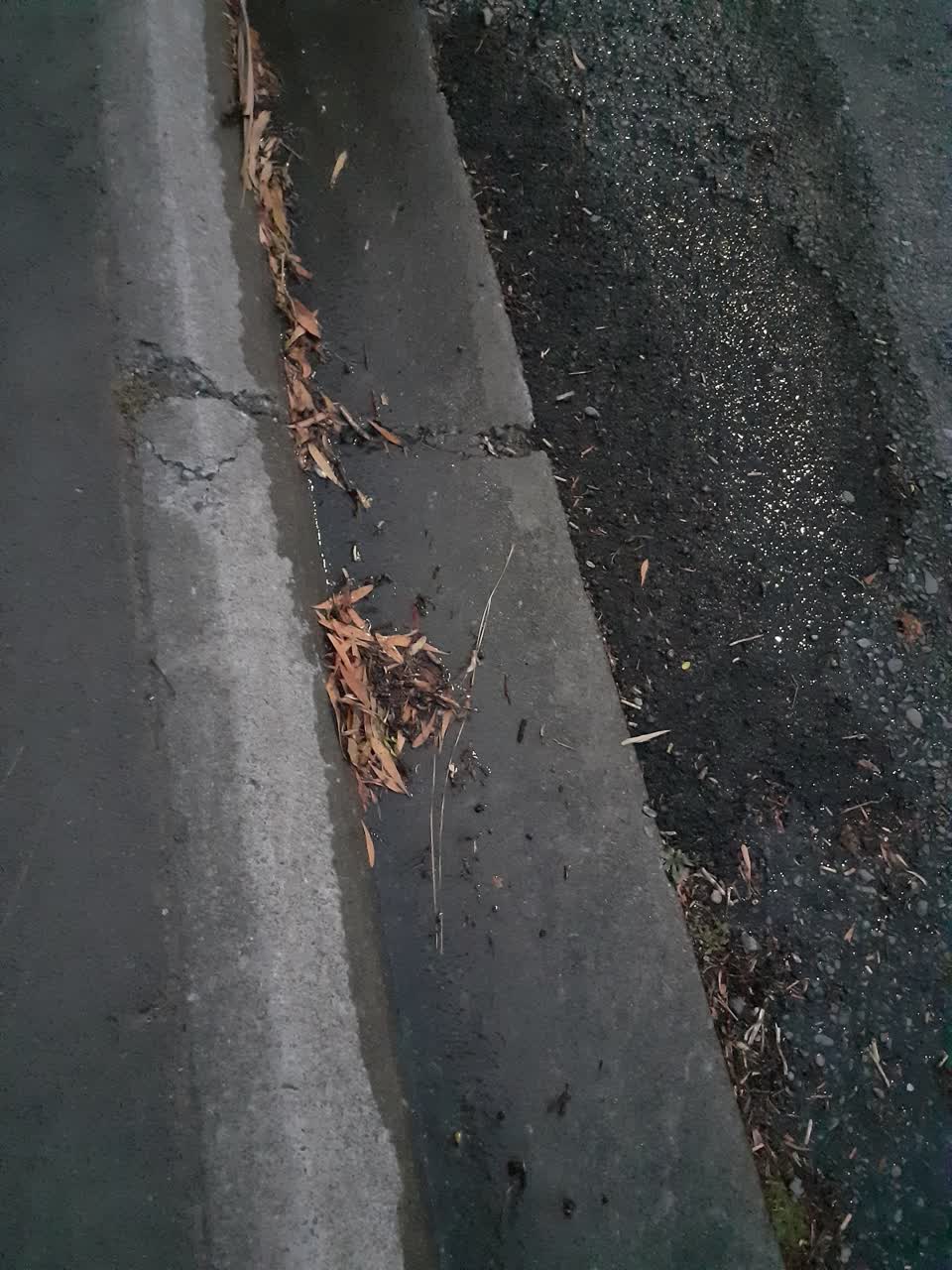 The photograph attached to this flooding report
