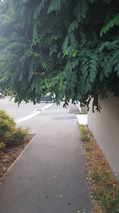Roading/Streets, a report photo