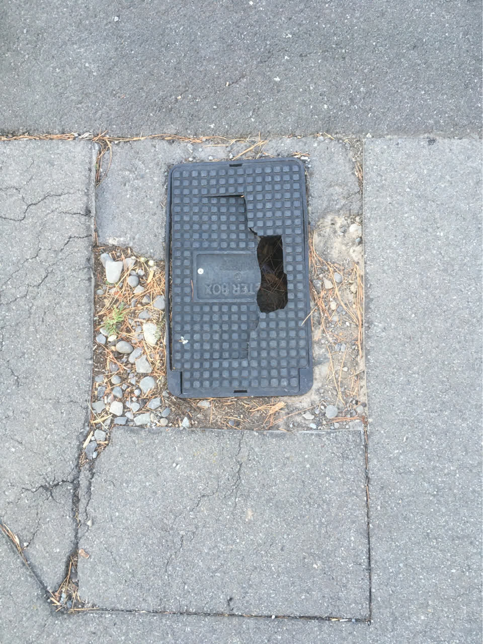 The photograph attached to this roading/streets report