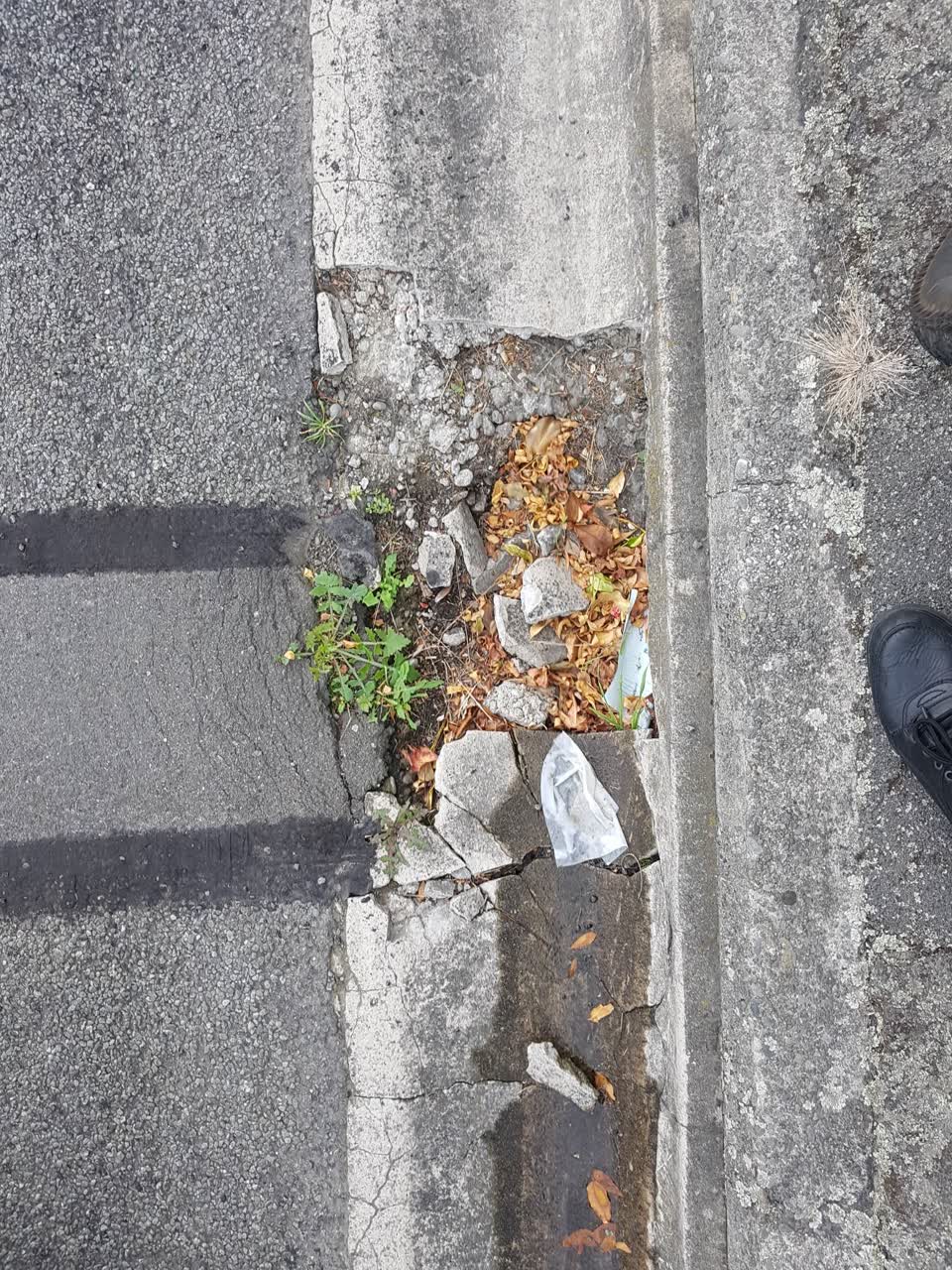 The photograph attached to this wastewater/stormwater report