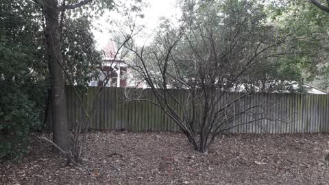 Parks, a report photo