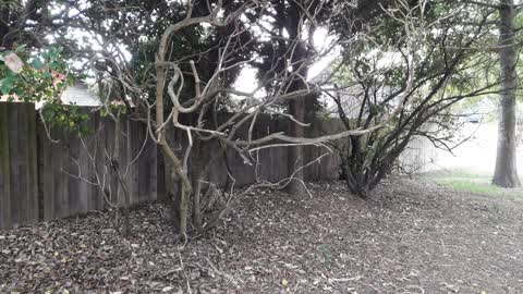 Parks — a report photo