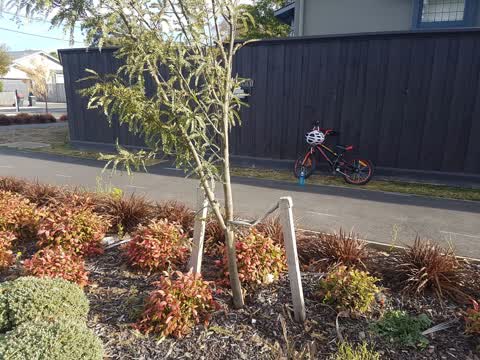Roading/Streets, a report photo