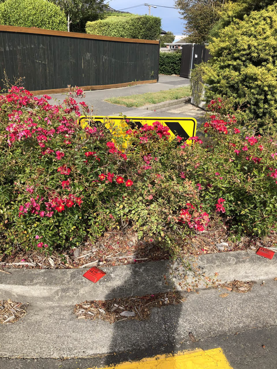 The photograph attached to this roading/streets report