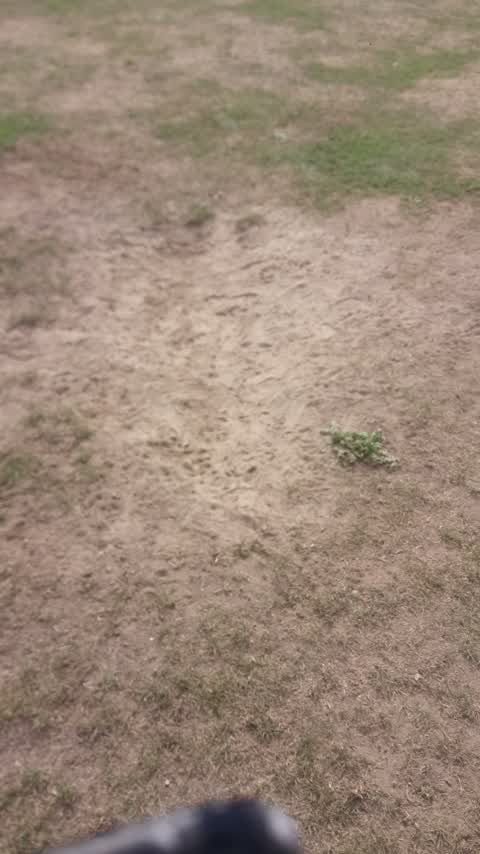 Parks, a report photo