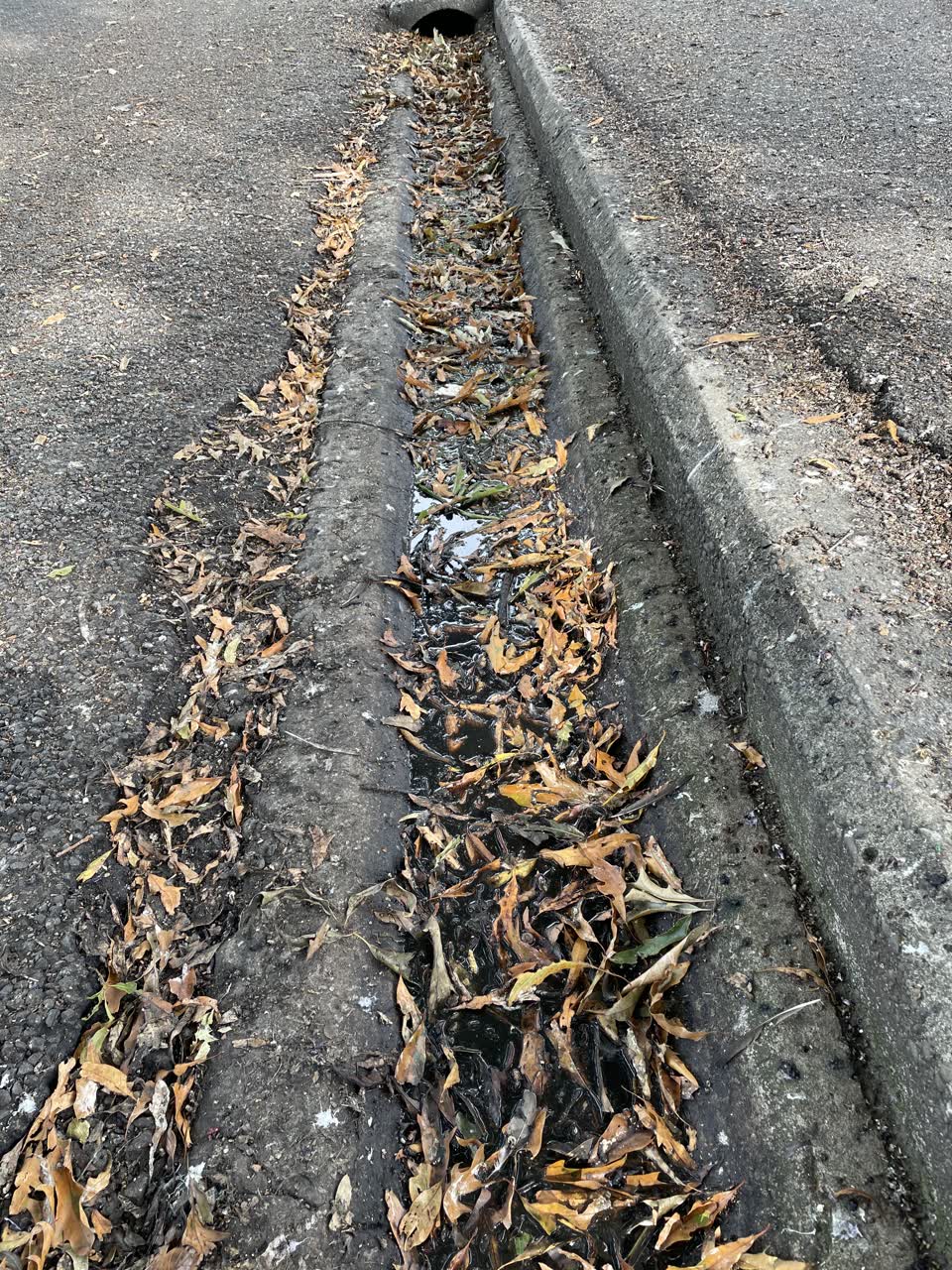 The photograph attached to this wastewater/stormwater report