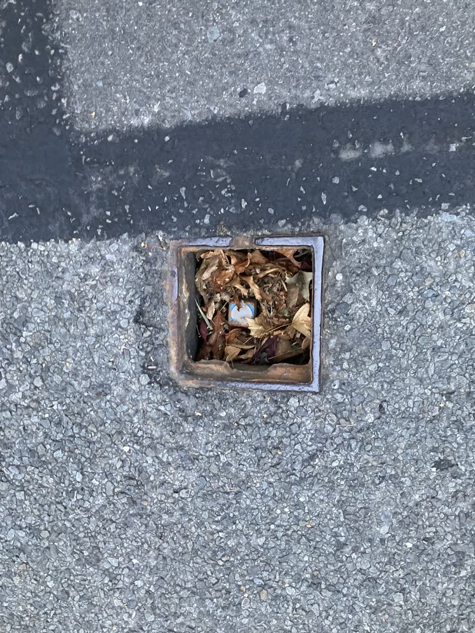 The photograph attached to this water supply report