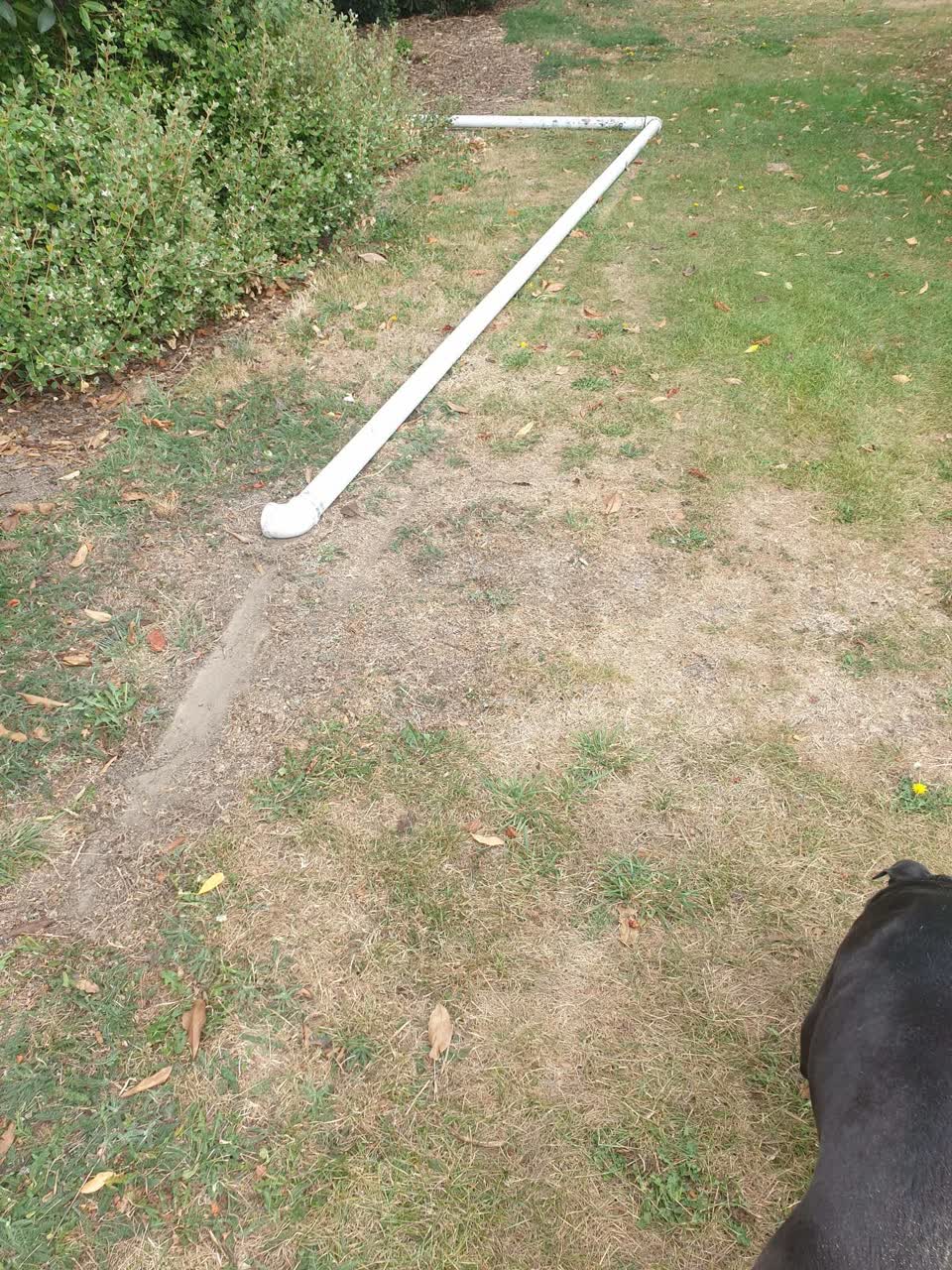 The photograph attached to this parks report