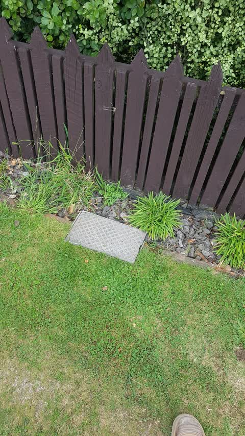 Water Leak, a report photo