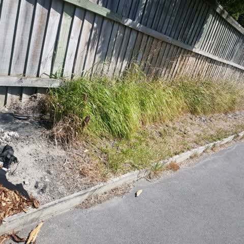Parks, a report photo