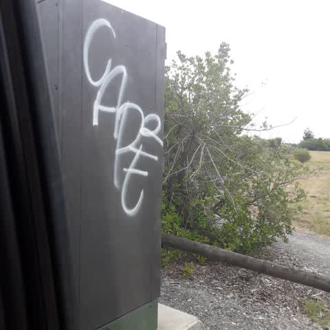 Graffiti, a report photo