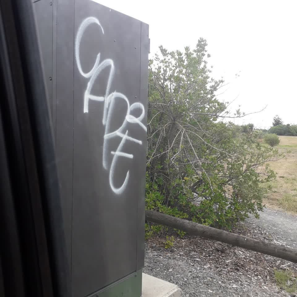 The photograph attached to this graffiti report