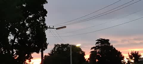 Street Light Outage, a report photo